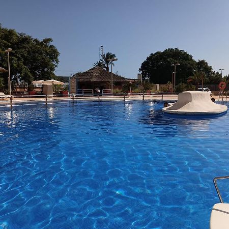 Sunny Place. Guardamar del Segura Buitenkant foto